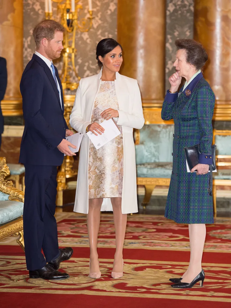 Prince Harry Meghan Markle Princess Anne