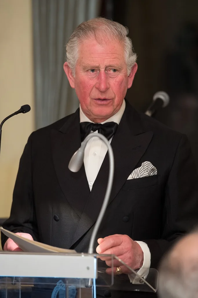 Prince Charles speaks of friendship with Ireland
