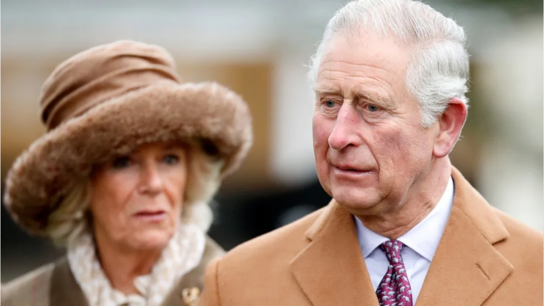 ROYALS Love Child DNA Results New Idea