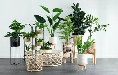 These faux plants look EXACTLY like the real thing