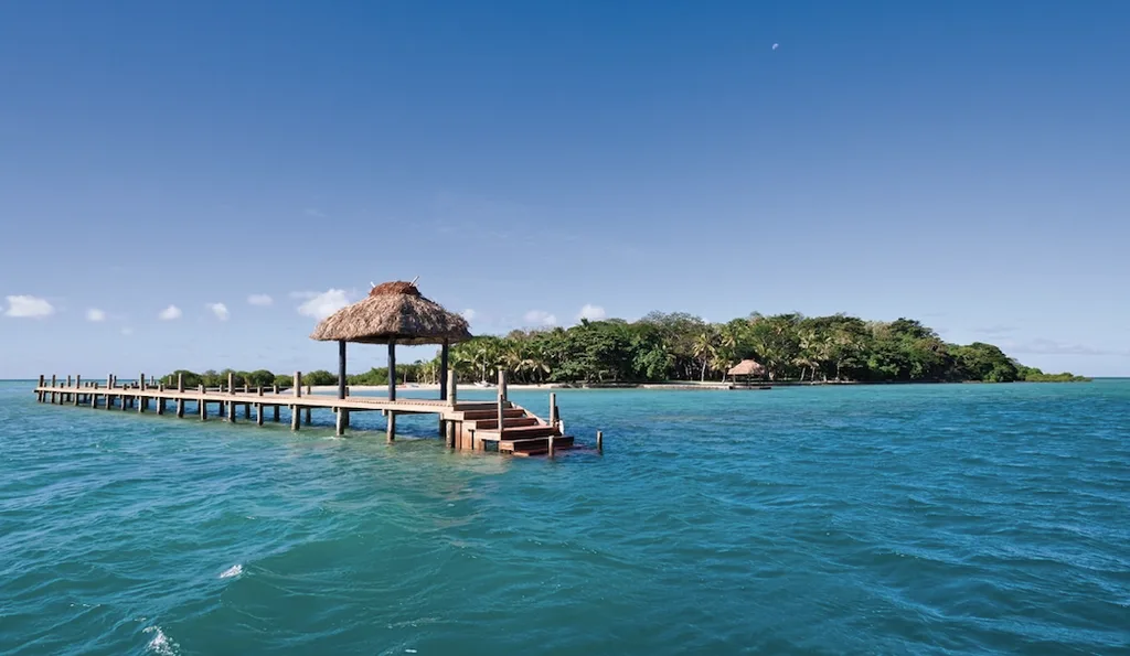 Dolphin Island, Fiji