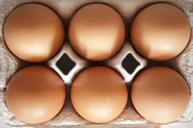 WARNING: Popular eggs recalled due to contamination fear