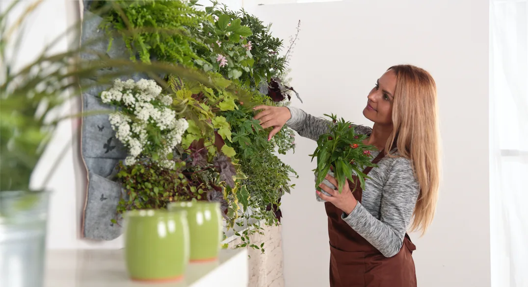 Create a vertical garden at home