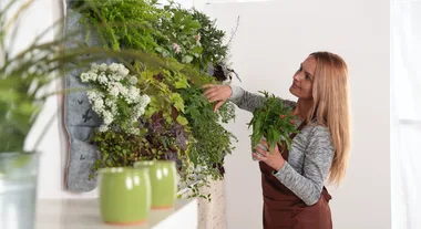 Create a vertical garden at home