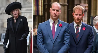 Revealed: What Harry and Wills REALLY think of Camilla