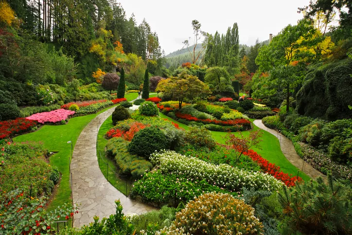 Getty Images