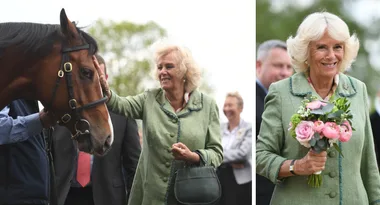 Quirky Camilla creates a stir at National Stud Market