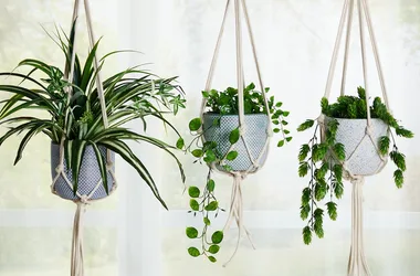 SO EASY – Make these macrame hanging pots