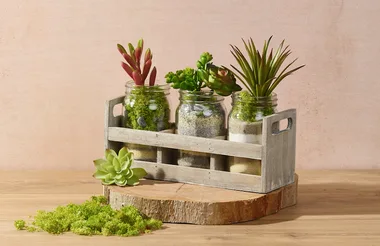 Make your own mason jar terrarium – so simple!