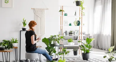 How to perfectly arrange your shelves