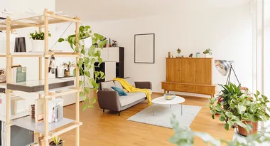 EXPERT ADVICE: How to decorate with indoor plants the easy way