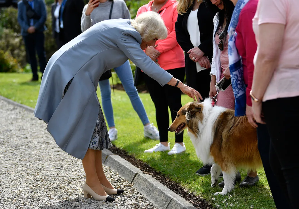 camilla parker bowles