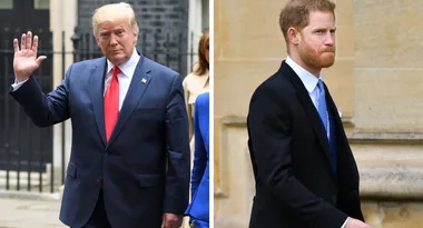 Trump harry