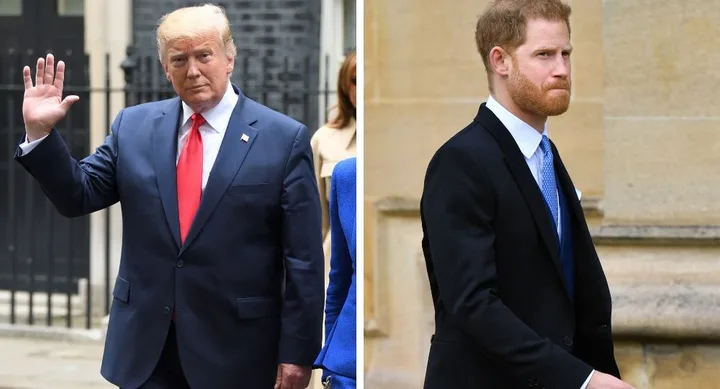 Trump harry