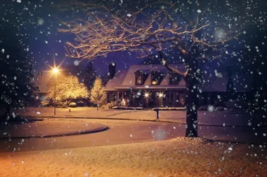 Top 50 Classic Christmas Movies – How Many Have You Seen?