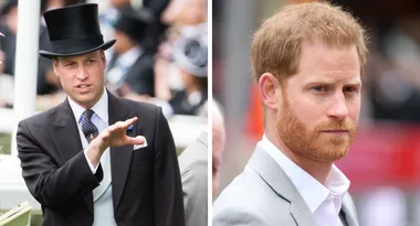 Harry and william