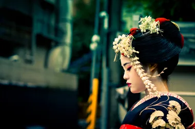 Geisha: What They Are, What They Do, And Where To Find Them