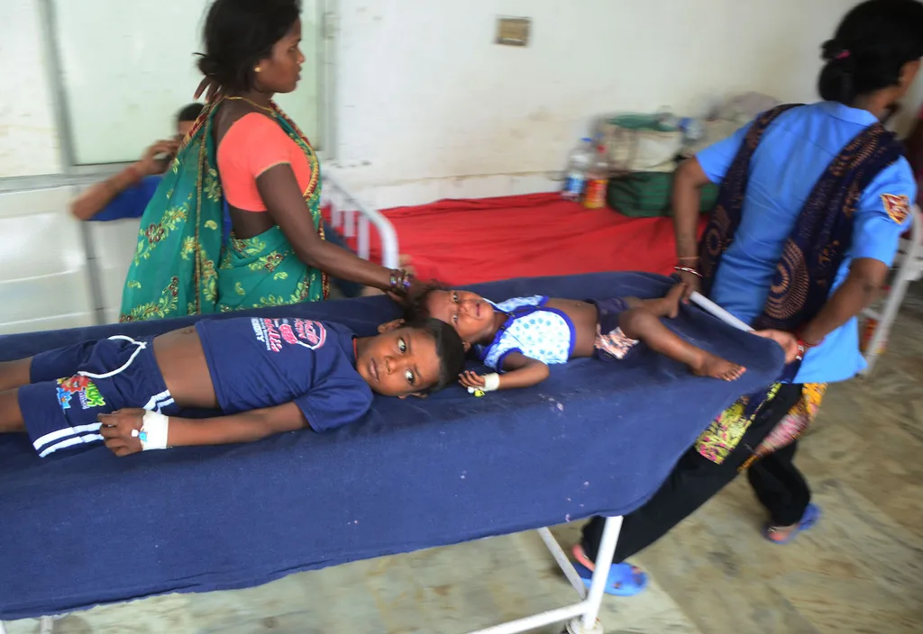 aes outbreak india