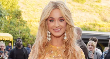 WATCH: Katy Perry rocks out in a TOILET to new song Never Really Over