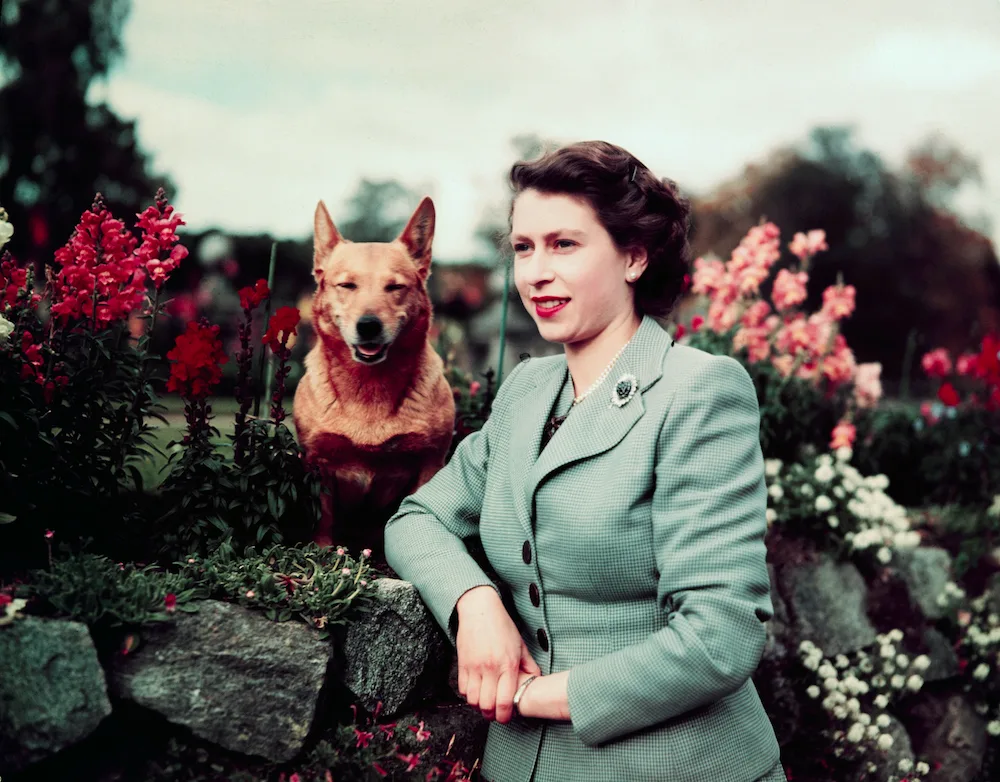 Queen elizabeth