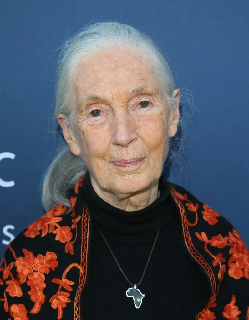 Jane Goodall