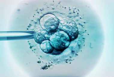 Egg Freezing in Australia: How Much To Save, How It Works