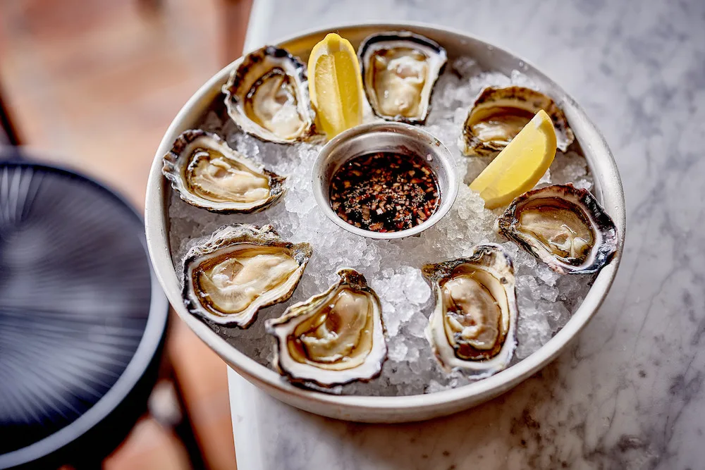 oysters