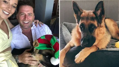 Karl Stefanovic: Jasmine loves her dog more than me