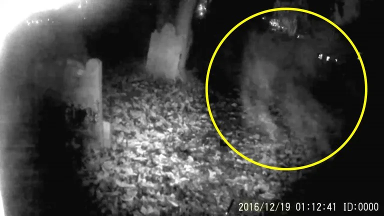 Ghost flies straight at camera in spooky footage