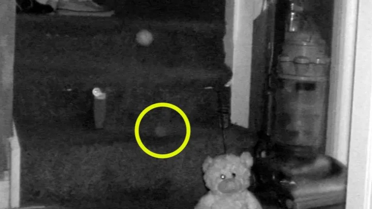 Paranormal investigators capture spirit of young child