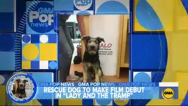 WATCH: U.S. TV host accused of ‘bullying’ Prince George