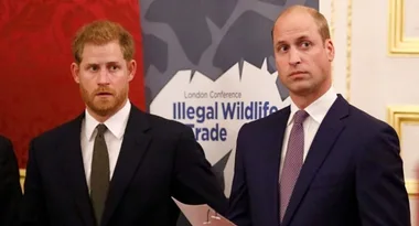 Harry’s personal battle – how William saved his brother