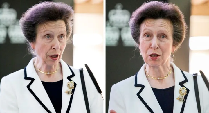 Princess Anne purple hair