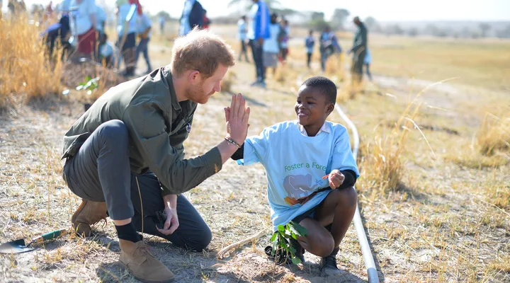 harry planting