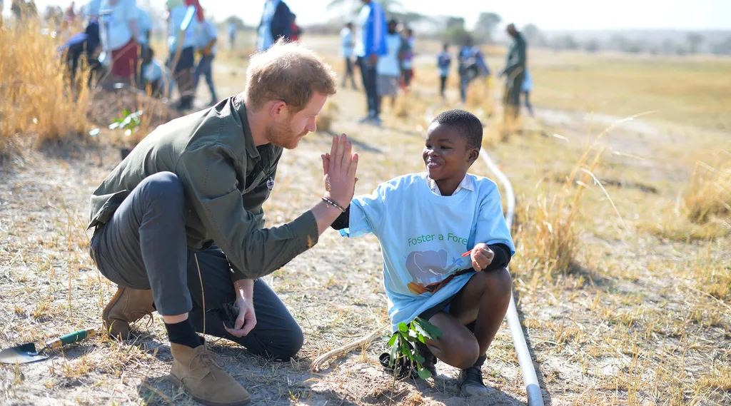 harry planting