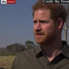 Prince Harry says Botswana helped him deal with Diana’s death