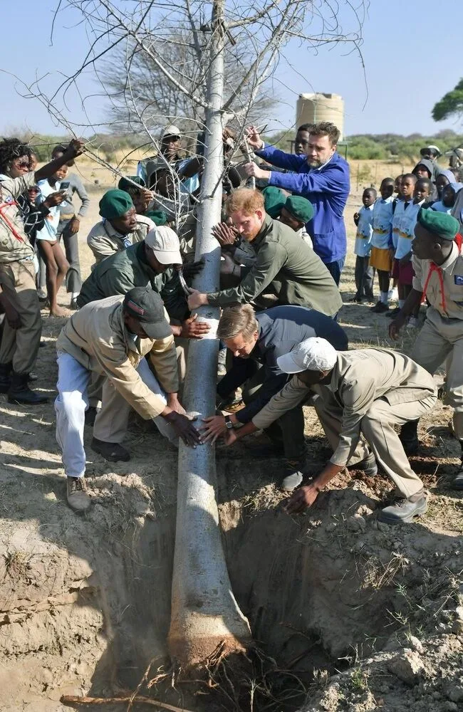 Prince Harry, Duke of Sussex helps to plant trees at the Chobe Tree Reserve in Botswana