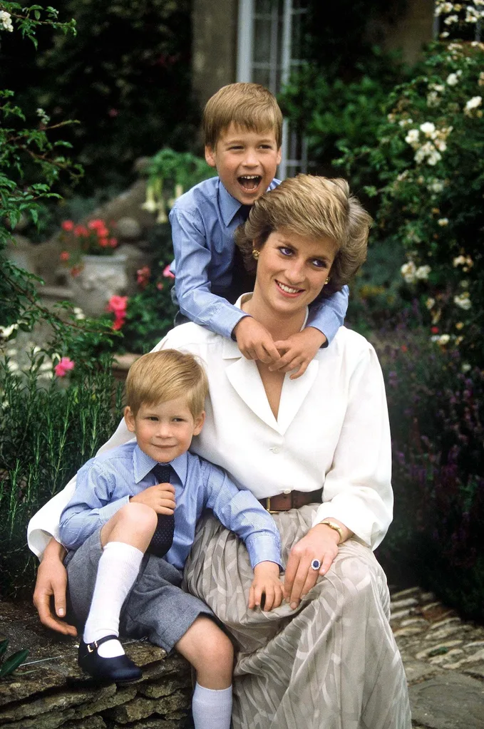 Harry and William with Diana