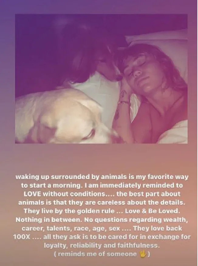 miley cyrus insta dogs