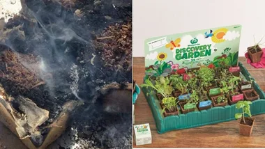 Woolworths Discovery Garden pot ‘spontaneously combusts’ and ‘catches on fire’