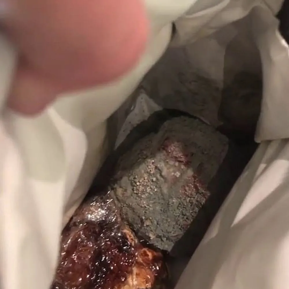 mouldy lunch box