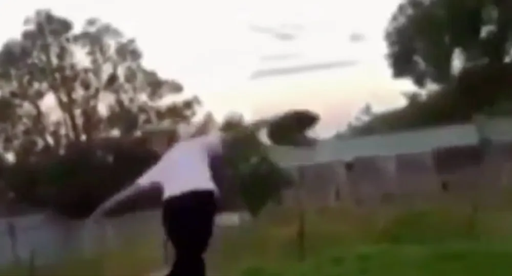 Woman throw cat across yard
