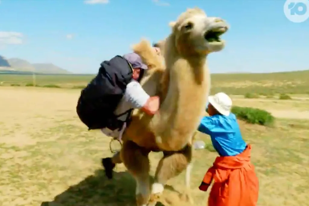 The Amazing Race speed bump