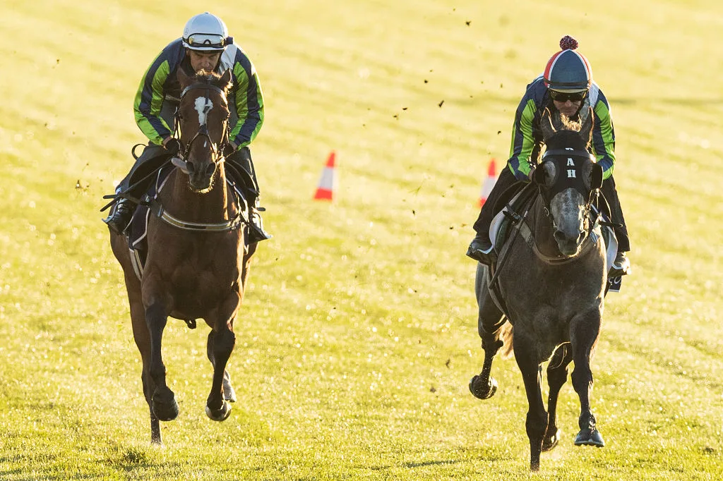 Melbourne Cup 2019: Rostropovich sent to vet for injury