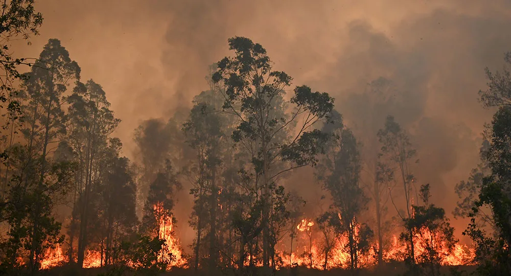 bushfires