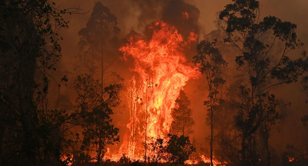 bushfires