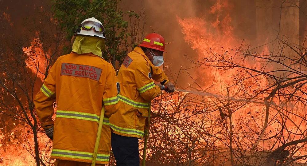 bushfire