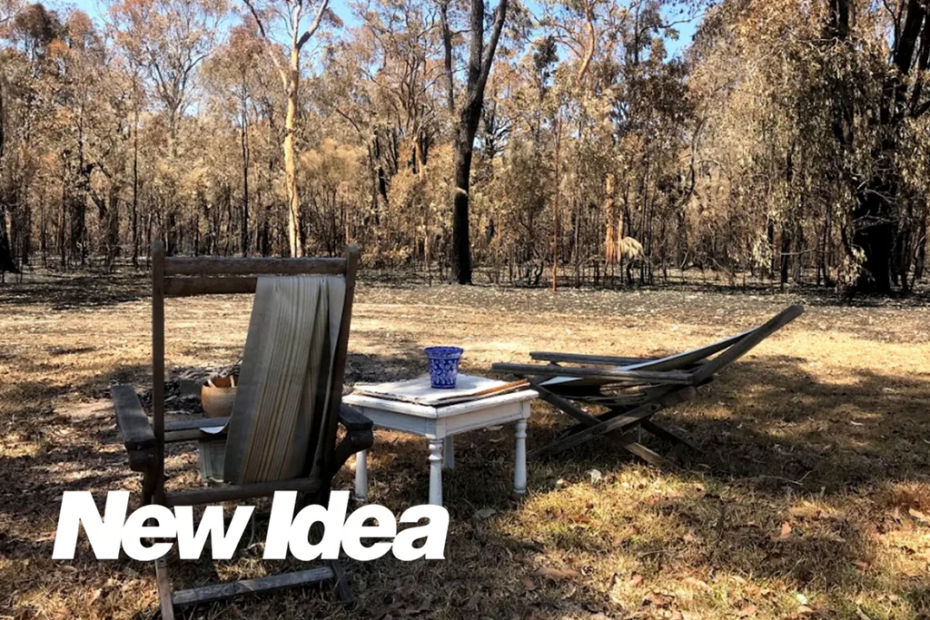 The family's property after the fire