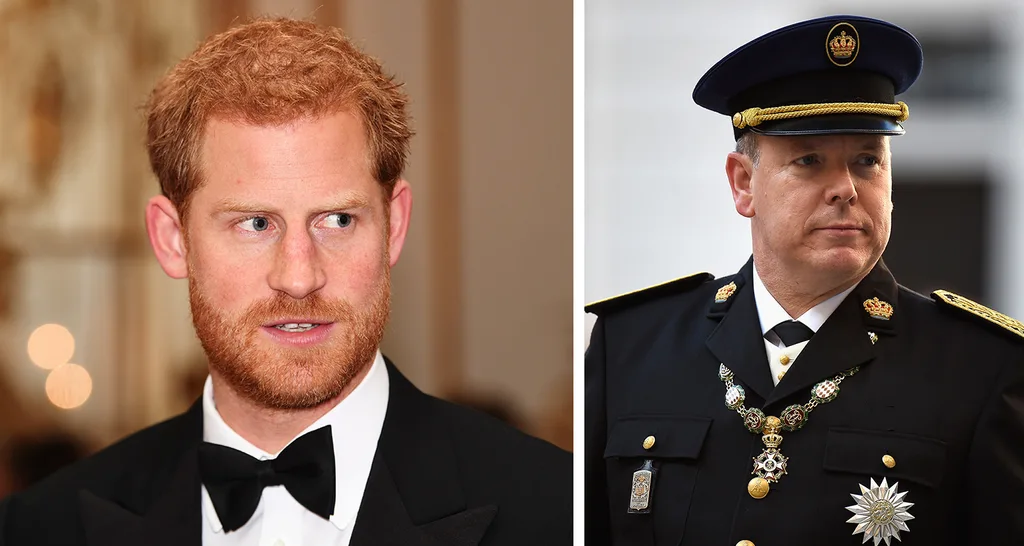 Prince Albert Prince Harry privacy