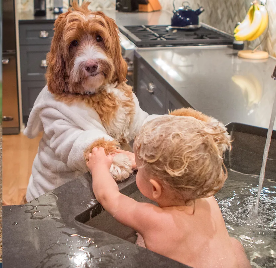 Bath time